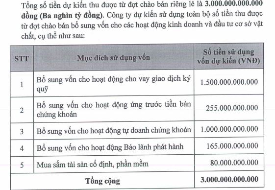 VikkiBankS chốt thời gian chào bán 300 triệu cổ phiếu riêng lẻ - Ảnh 1.