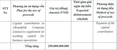 Yeah1 dự kiến chào bán 25 triệu cổ phiếu riêng lẻ cho 3 nhà đầu tư - Ảnh 3.