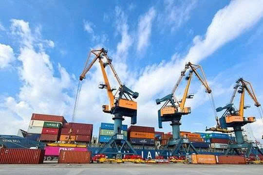 Xếp dỡ Hải An rót thêm hơn 193 tỷ đồng vào Hải An Green Shipping Lines - Ảnh 1.
