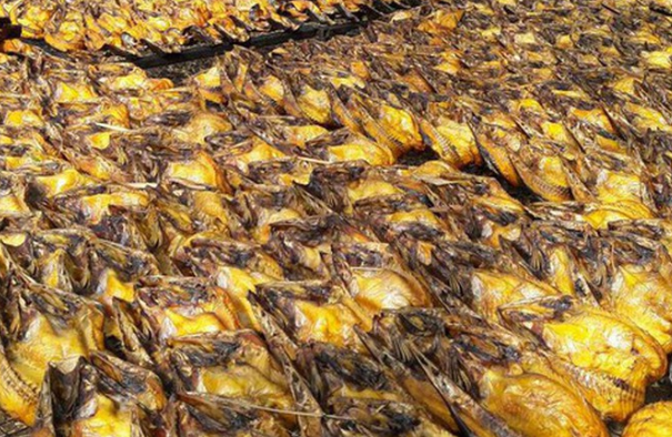 Trung Quốc báo một tin vui đến Việt Nam - Ảnh 1.