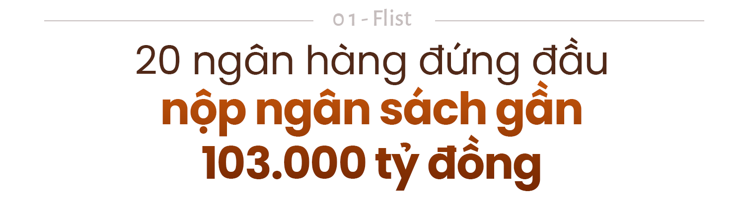 Công bố 20 Ngân hàng nộp ngân sách lớn nhất và Top 20 Ngân hàng tư nhân nộp ngân sách lớn nhất Việt Nam 2026 - Ảnh 3.
