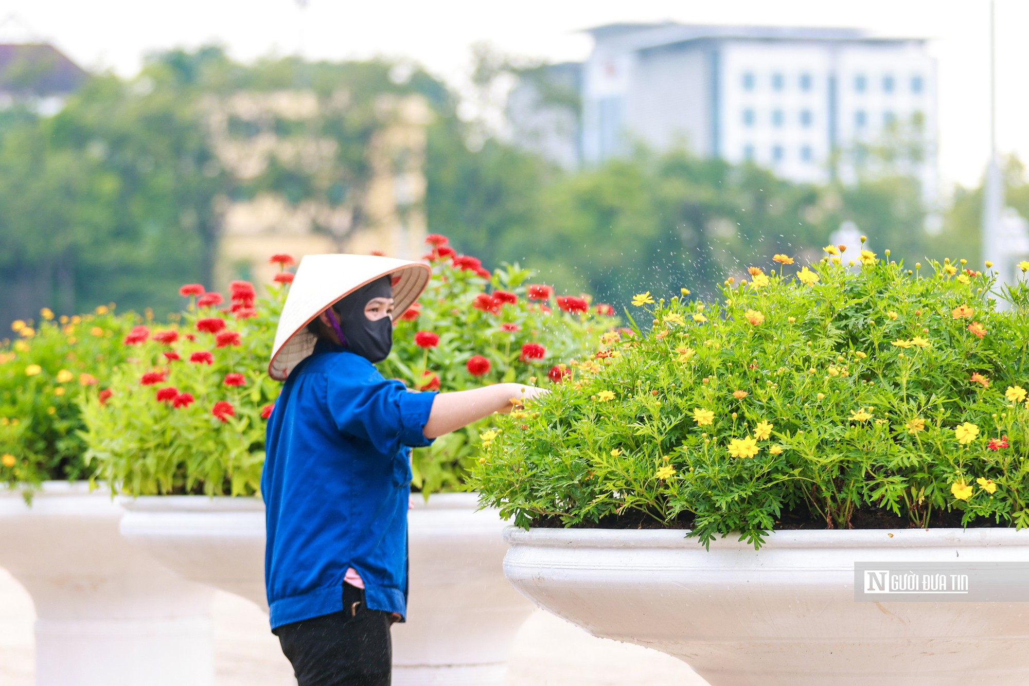 Hà Nội trang hoàng chào mừng 81 năm Quốc khánh 2/9- Ảnh 10.