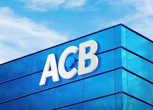 Hoạt động cấp tín dụng tại ACB Thủ Đức còn một số tồn tại, hạn chế - Ảnh 1.