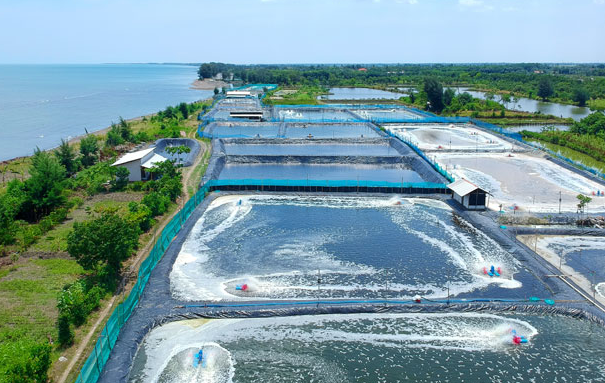 Một ‘mỏ vàng' dưới biển của Việt Nam được Mỹ, Trung Quốc đua nhau lùng mua: Vừa mang về 3,3 tỷ USD, nước ta sở hữu công nghệ chế biến hàng đầu thế giới - Ảnh 1.