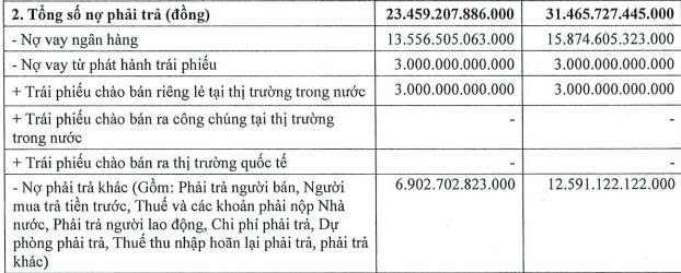 VSIP báo lãi ròng bán niên 2026 “sụt giảm” hơn 13% - Ảnh 1.