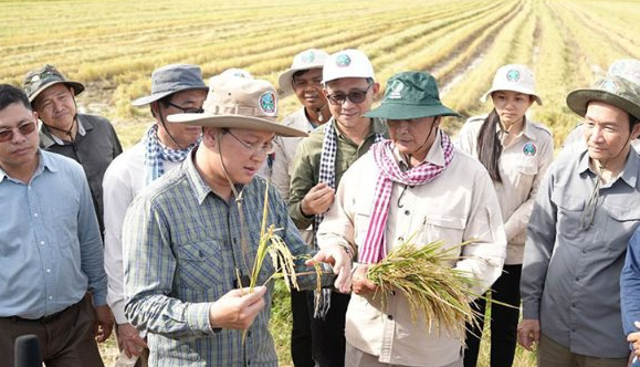 Một đối thủ của gạo Việt Nam, Thái Lan liên tiếp đón tin vui, đang sở hữu giống lúa nhận danh hiệu ngon nhất thế giới 7 lần liên tiếp- Ảnh 1.
