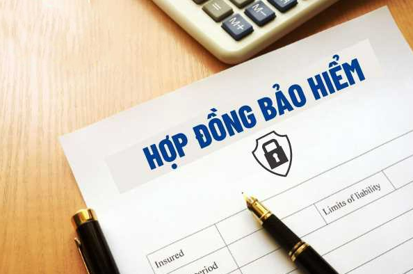 thanh tra bon cong ty bao hiem lien ket ngan hang dspl