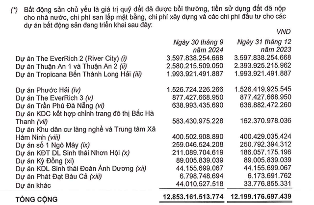 Doanh thu tài chính 'gánh' lãi ròng quý III/2024 của Phát Đạt- Ảnh 1.