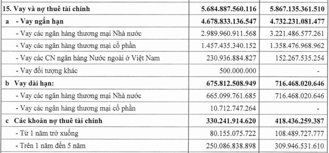 Giá lợn hơi tăng, Dabaco báo lợi nhuận cao nhất 5 quý- Ảnh 1.