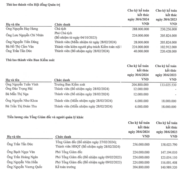 Mức lương, thù lao của dàn lãnh đạo một số Tổng công ty - Ảnh 4.