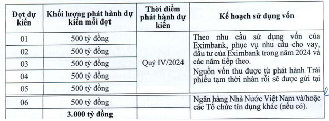 Eximbank dự kiến phát hành 3.000 tỷ đồng trái phiếu trong quý cuối năm- Ảnh 1.