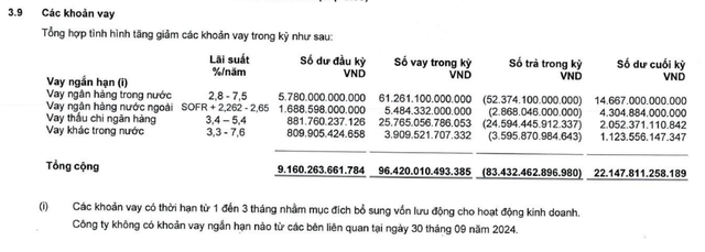 Đẩy mạnh đầu tư trái phiếu, HSC tăng gần 6.000 tỷ đồng nợ vay sau 1 quý- Ảnh 2.