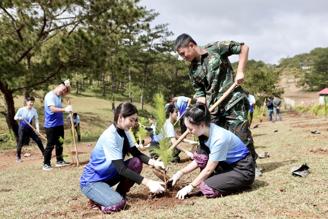 Green Day - Green Life 2024: SASCO trồng thêm 3.000 cây thông tại Đà Lạt- Ảnh 3.