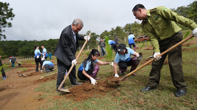 Green Day - Green Life 2024: SASCO trồng thêm 3.000 cây thông tại Đà Lạt- Ảnh 2.