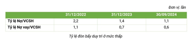 Lợi nhuận quý 3 tăng mạnh, Bamboo Capital hoàn thành gần 79% kế hoạch năm- Ảnh 4.