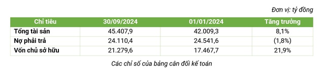 Lợi nhuận quý 3 tăng mạnh, Bamboo Capital hoàn thành gần 79% kế hoạch năm- Ảnh 3.