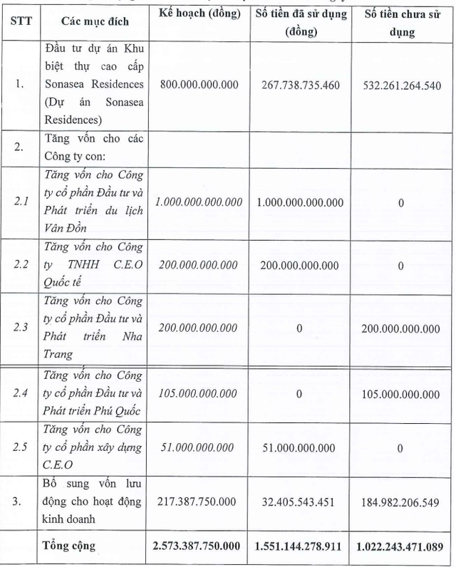 CEO Group mới sử dụng 60% số vốn thu được từ đợt phát hành 257,3 triệu cổ phiếu- Ảnh 1.