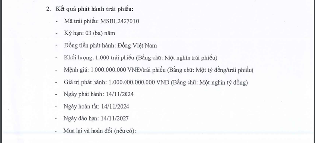 MSB tiếp tục huy động lô trái phiếu 1.000 tỷ đồng- Ảnh 1.