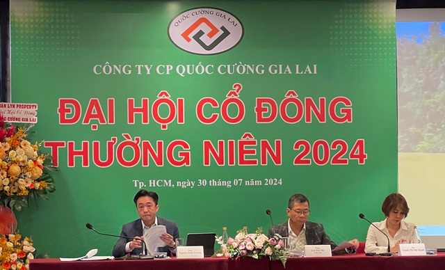 Lý do đình chỉ các kiểm toán viên ký BCTC năm 2023 cho Quốc Cường Gia Lai- Ảnh 1.