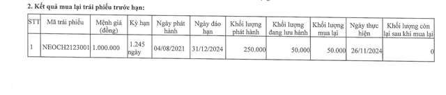 Neo Floor của Chủ tịch Mai Thanh Phương tất toán lô trái phiếu 250 tỷ đồng- Ảnh 1.