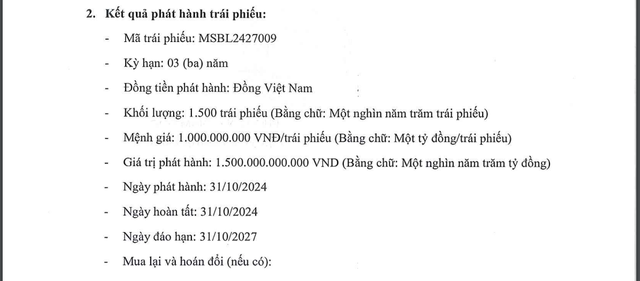 MSB huy động lô trái phiếu 1.500 tỷ đồng- Ảnh 1.