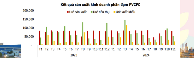 Đạm Cà Mau sắp hoàn thành kế hoạch cả năm sau 11 tháng- Ảnh 1.