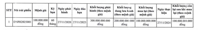 DNP Holding chi 100 tỷ đồng mua lại trái phiếu trước hạn- Ảnh 1.