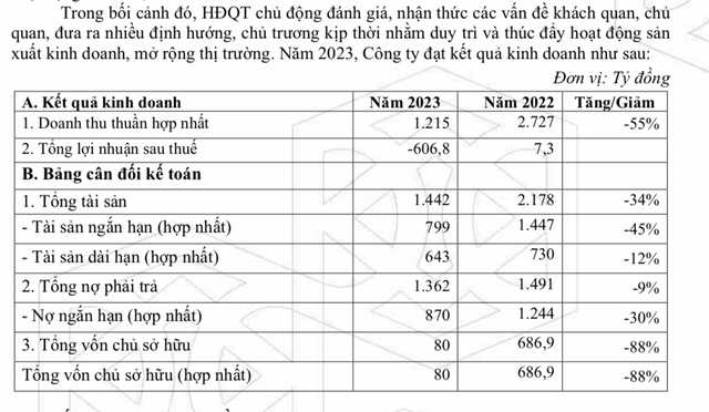 Lỗ kỷ lục, sếp Nhựa Đông Á (DAG) tự nguyện không nhận lương- Ảnh 1.