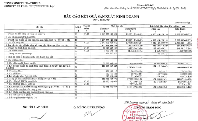 Nhiệt điện Phả Lại (PPC) báo lãi giảm tới 42% dù doanh thu tăng cao- Ảnh 1.