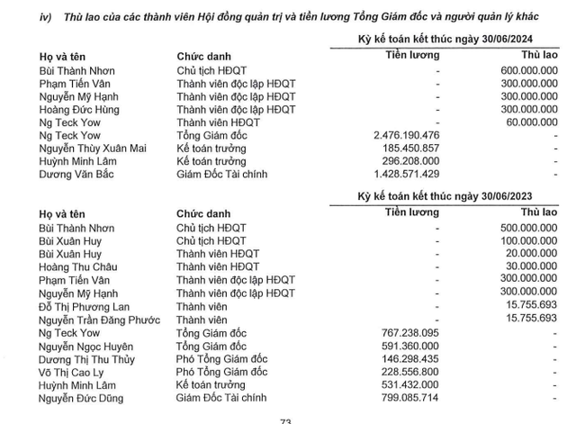 Lãnh đạo các công ty bất động sản nhận lương bao nhiêu trong nửa đầu năm 2024?- Ảnh 1.