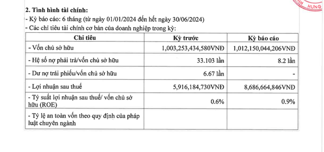 Vốn nghìn tỷ, Đầu tư và Phát triển Đô thị Hưng Yên báo lãi ròng gần 8,7 tỷ đồng bán niên 2024- Ảnh 1.