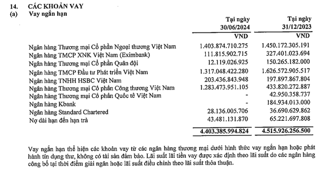 Nợ vay ngắn hạn chiếm 47% nguồn vốn Petrosetco, đẩy mạnh đầu tư chứng khoán- Ảnh 1.