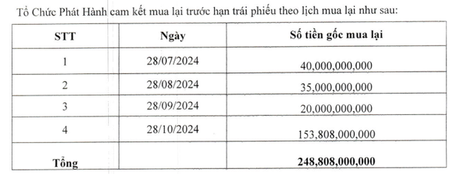 Hải Phát gia hạn lô trái phiếu gần 250 tỷ đồng thêm 1 năm- Ảnh 1.