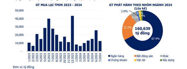 Nhóm ngân hàng 'dẫn đầu' phát hành trái phiếu- Ảnh 1.