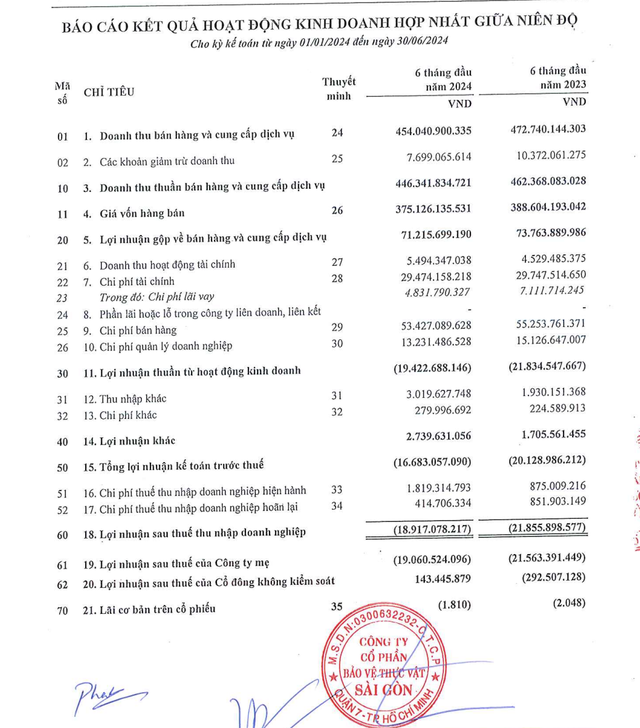 SPC lỗ gần 19 tỷ đồng trong 6 tháng đầu năm 2024- Ảnh 1.