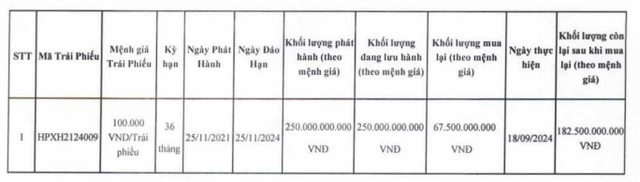 Hải Phát tạm dừng chào bán hơn 152 triệu cổ phiếu, chi tiền mua lại trái phiếu trước hạn- Ảnh 1.