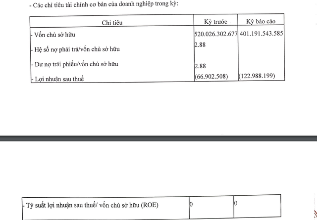 Kinh doanh thua lỗ, Vinam Land còn nợ bao nhiêu trái phiếu?- Ảnh 1.