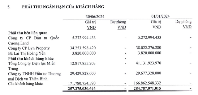 Lyn Property của em gái Cường Đô la hơn 1 năm chưa đóng bảo hiểm cho người lao động- Ảnh 1.