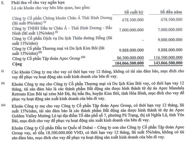 API tăng lỗ sau soát xét, kiểm toán nêu ý kiến ngoại trừ liên quan khoản cho vay và tạm ứng trị giá hơn 273 tỷ đồng- Ảnh 1.