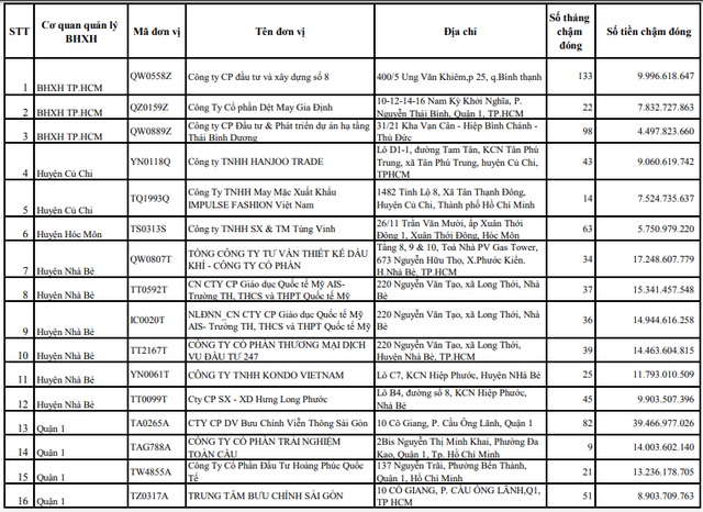TP.HCM công khai 100 doanh nghiệp nợ bảo hiểm từ 6 tháng với số tiền lớn- Ảnh 1.