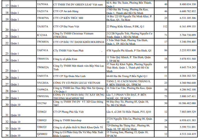 TP.HCM công khai 100 doanh nghiệp nợ bảo hiểm từ 6 tháng với số tiền lớn- Ảnh 2.