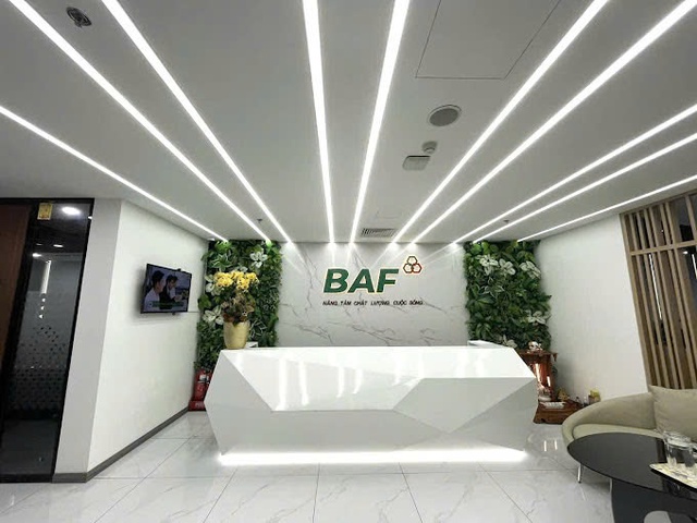 Baf Việt Nam nhận chuyển nhượng 70% vốn góp một doanh nghiệp tại Gia Lai - Ảnh 1.