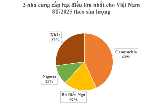 Gần 1 triệu tấn hàng quý vừa từ Campuchia đổ bộ Việt Nam: Thuế nhập khẩu 0%, là trợ lực giúp nước ta xuất khẩu bằng cả thế giới cộng lại - Ảnh 2.