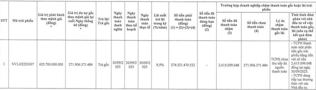 Novaland chậm thanh toán gần 308 tỷ đồng tiền gốc cho 2 lô trái phiếu - Ảnh 1.