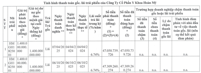 Dư nợ trái phiếu của Y khoa Hoàn Mỹ bao nhiêu? - Ảnh 1.