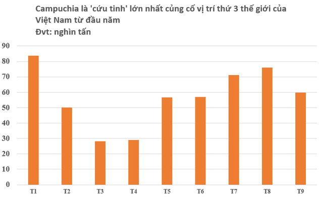 Hơn nửa triệu tấn vàng trắng từ Campuchia vừa đổ bộ Việt Nam: Là cứu tinh giúp nước ta đứng thứ 3 thế giới, Thái Lan là đối thủ nhiều năm liên tiếp - Ảnh 2.