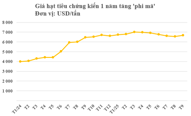 Một mặt hàng của Việt Nam đang làm mưa làm gió tại Mỹ: Nước ta chiếm đến 60% thị phần, thế giới ngày càng khan hiếm - Ảnh 2.