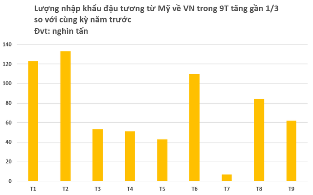 Trung Quốc đóng băng đơn hàng, Mỹ tăng mạnh đưa một loại ‘báu vật’ vào Việt Nam với giá rẻ bất ngờ: Thuế nhập khẩu 0%, nước ta mua hàng triệu tấn mỗi năm - Ảnh 2.
