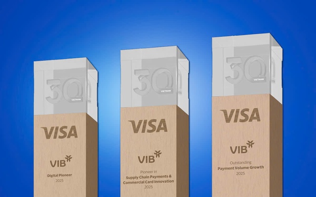 Tăng trưởng chi tiêu thẻ vượt trội, tiên phong công nghệ và đổi mới: VIB nhận 3 giải thưởng từ Visa - Ảnh 3.