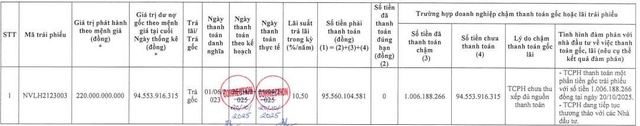 Novaland lại ‘khất nợ’ gần 95 tỷ đồng gốc trái phiếu - Ảnh 1.